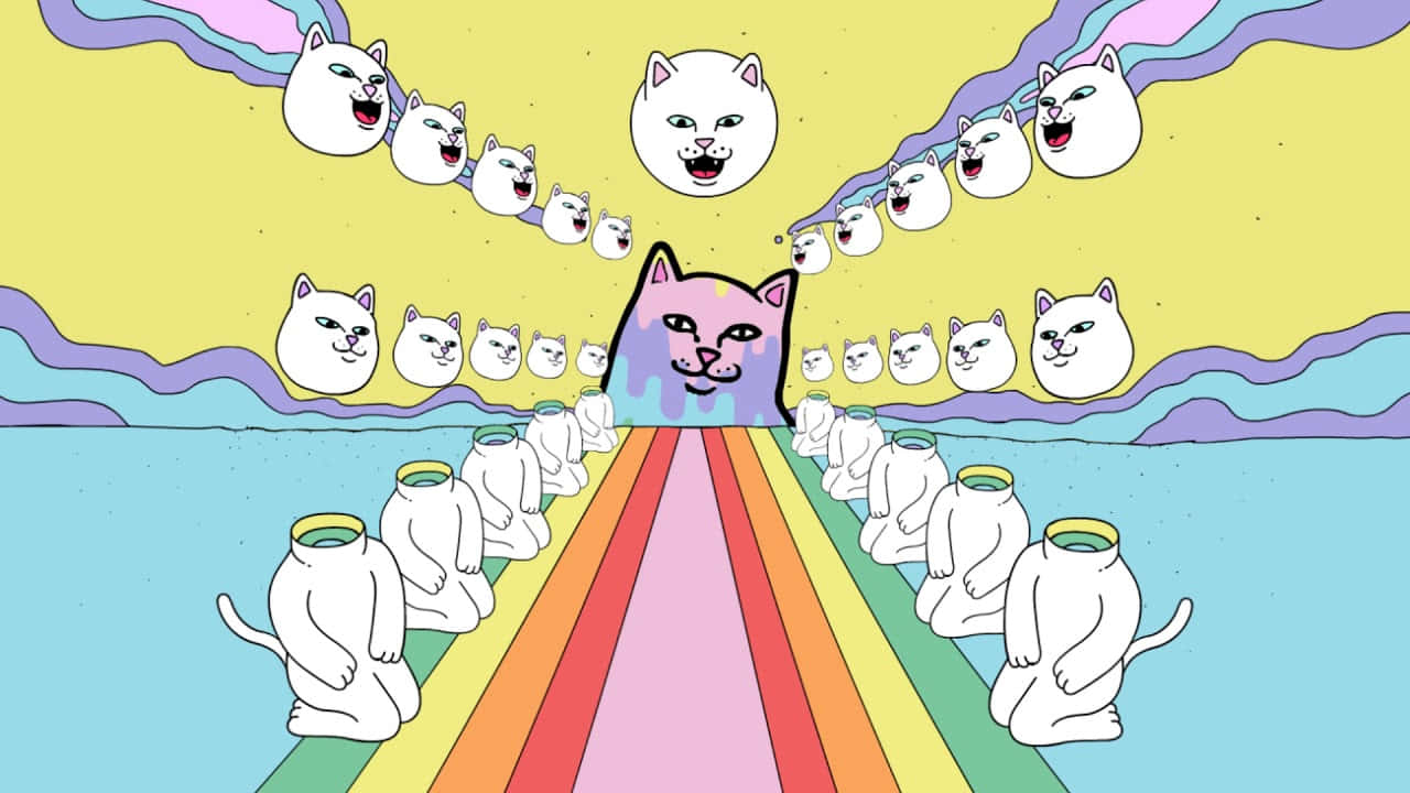 Illustration RIPNDIP colorée avec grande tête de chat multicolore, chemin arc-en-ciel, silhouettes de chats agenouillées et têtes flottantes sur fond jaune pastel.