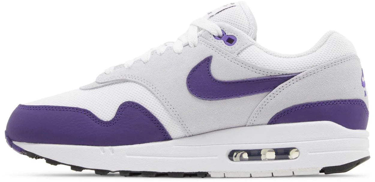 Nike Air Max 1 SC Field Purple-2