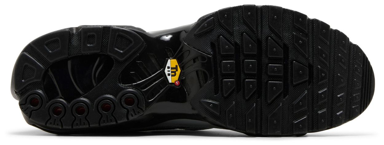 Nike Air Max Plus Tiempo Wolf Grey Black-Sole