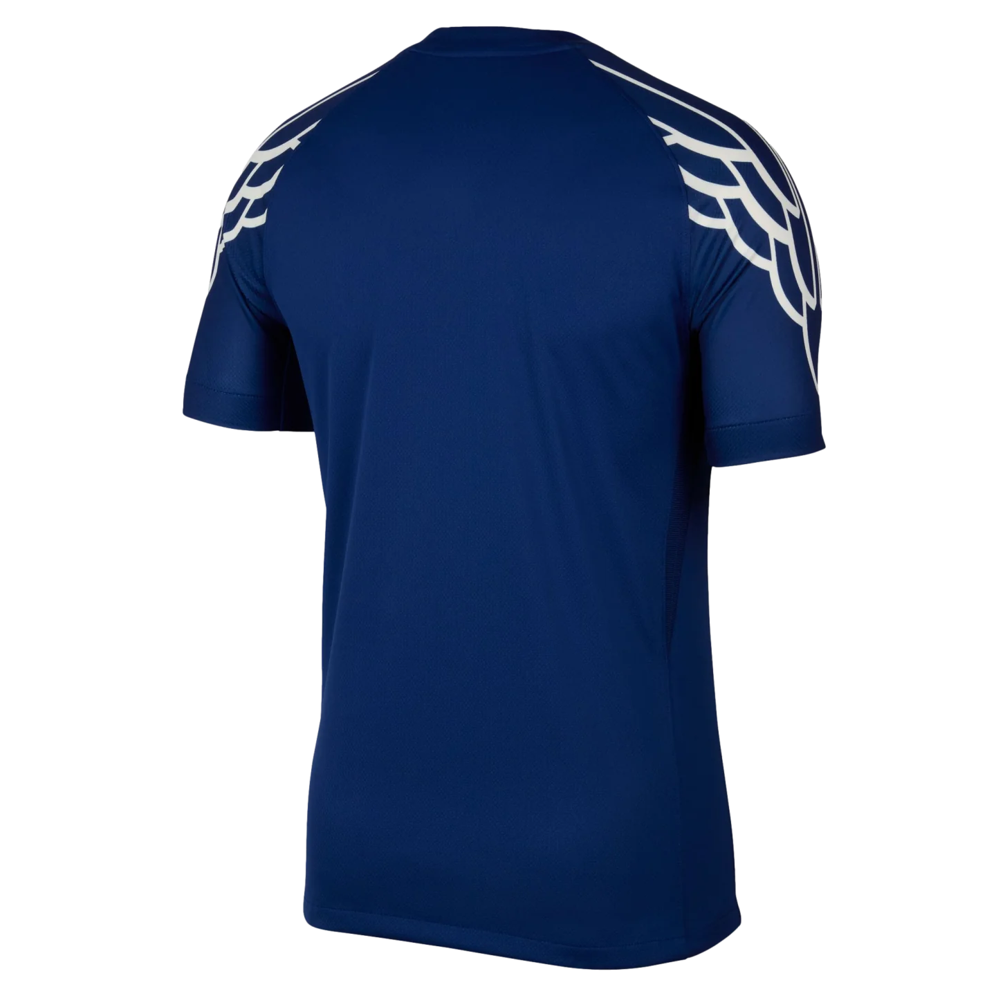 Back Nike 2024/25 PSG Fourth Jersey Multicolor
