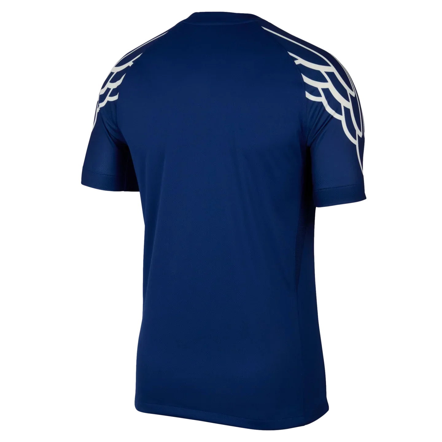 Back Nike 2024/25 PSG Fourth Jersey Multicolor