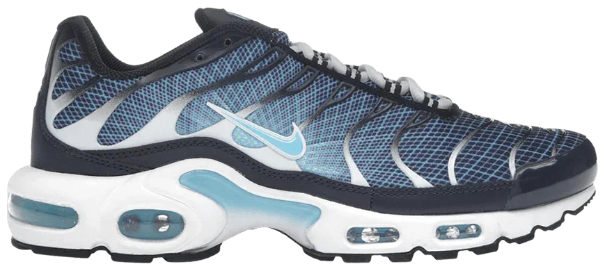 Nike Air Max Plus Dark Obsidian -1