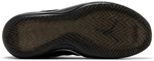 Jordan 39 Lumiere