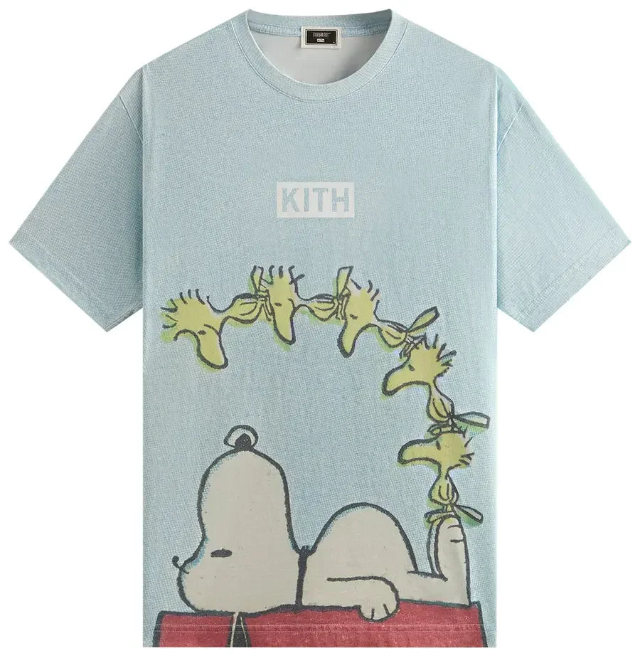 Kith x Peanuts Woodstock Doghouse Comic Vintage Tee Glisten