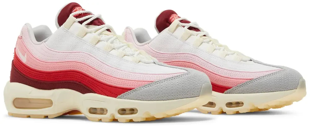 Nike Air Max 95 Anatomy of Air Pair