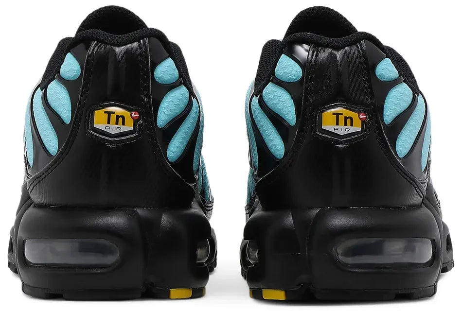 Nike Air Max Plus Aqua Blue