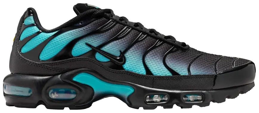 Nike Air Max Plus Black Dusty Cactus