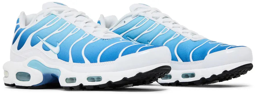 Nike Air Max Plus Sky Blue