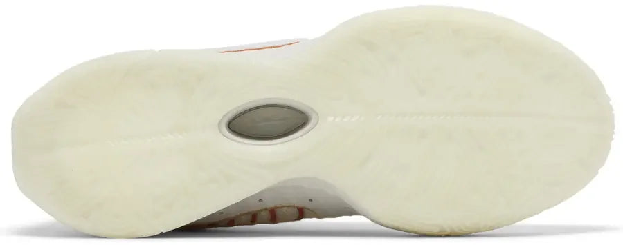 Nike LeBron 21 Akoya