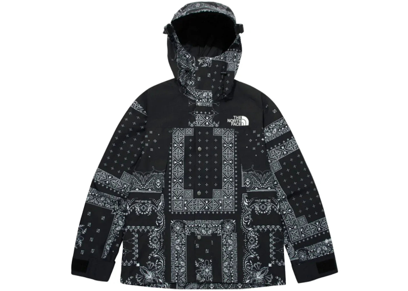 The North Face Novelty GTX Paisley Mountain Jacket Black -1