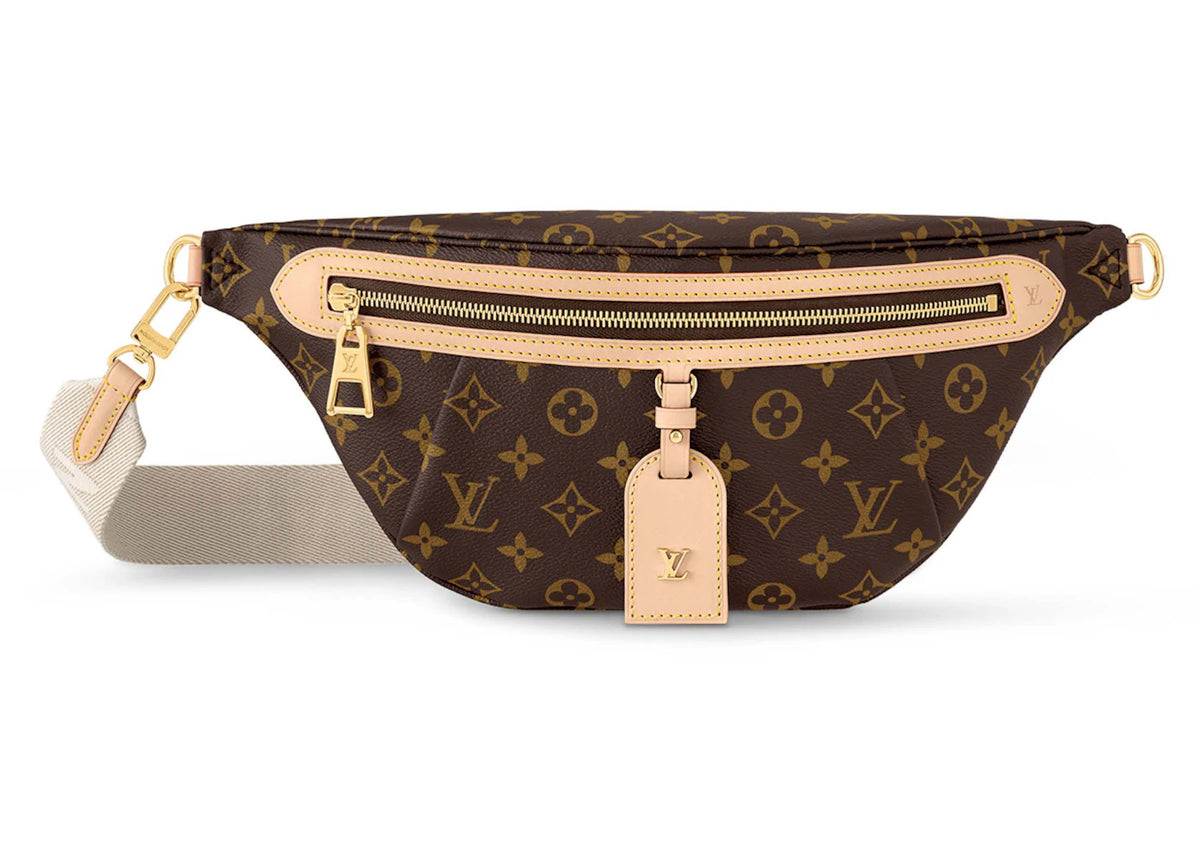 Louis Vuitton High Rise Bumbag Monogram -1