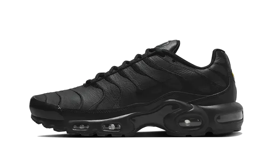 Nike Air Max Plus Triple Black Leather AJ2029-001 MTHOR SHOP