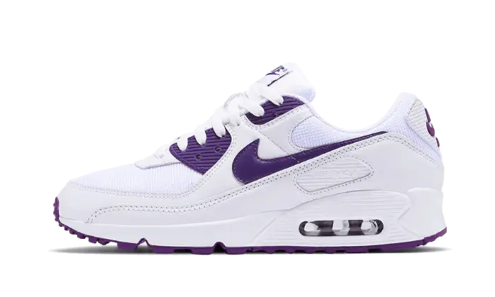 Nike air max 90 mens purple shop