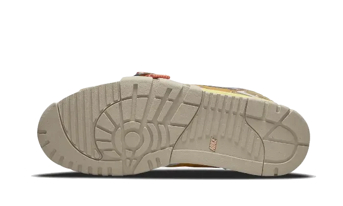 Nike Air Trainer 1 SP Coriander