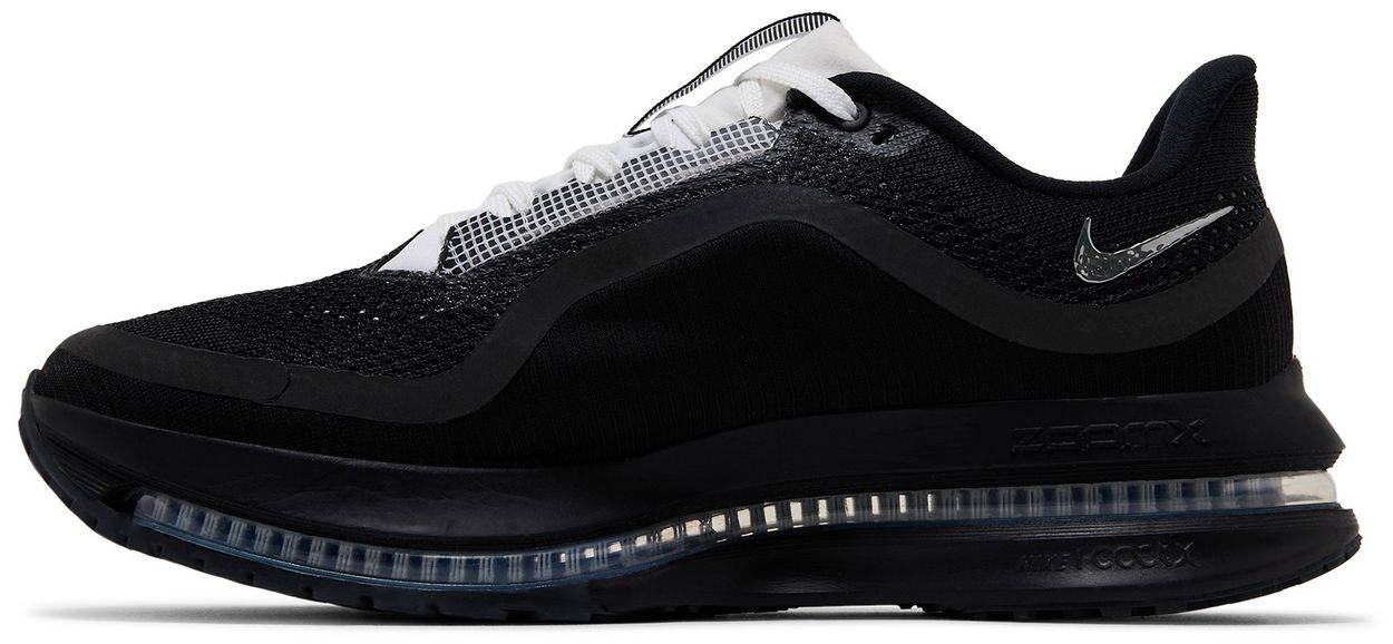 Nike Air Zoom Pegasus Premium SP Black Metallic Silver-2