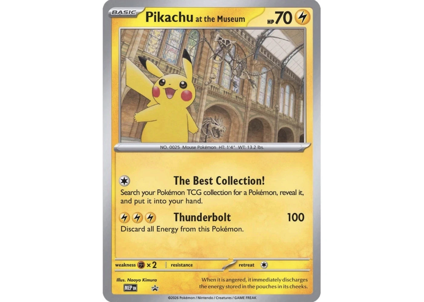 Pikachu at the Museum Pokémon Natural History Museum Promo (Ungraded) -1