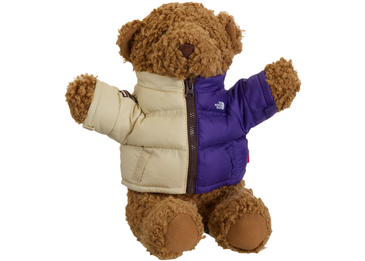 Supreme The North Face Bear Multicolor -1
