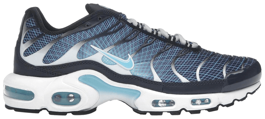 Nike Air Max Plus Dark Obsidian -1