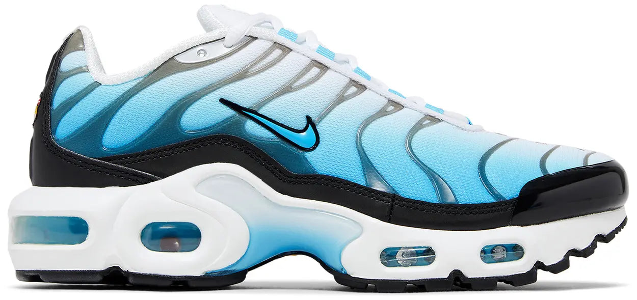 Nike Air Max Plus Ice (GS)