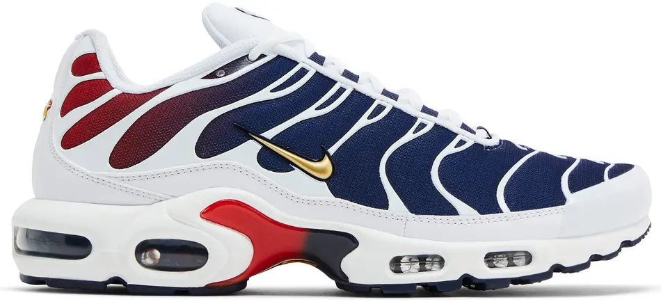 Nike Air Max Plus PSG