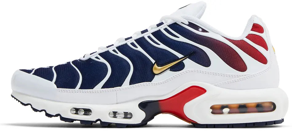 Nike Air Max Plus PSG