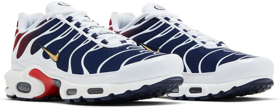 Nike Air Max Plus PSG pair