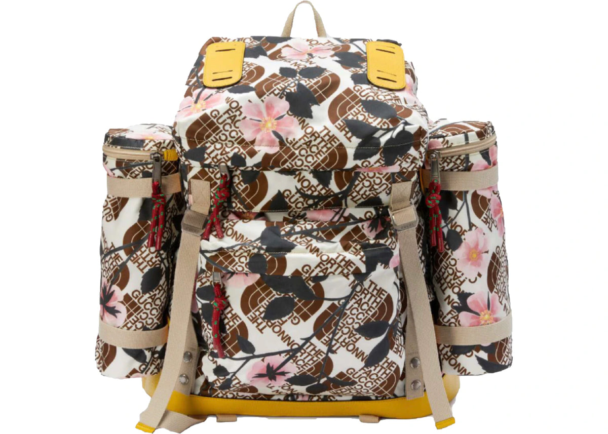 Gucci x The North Face Large Backpack Brown Multi -1
