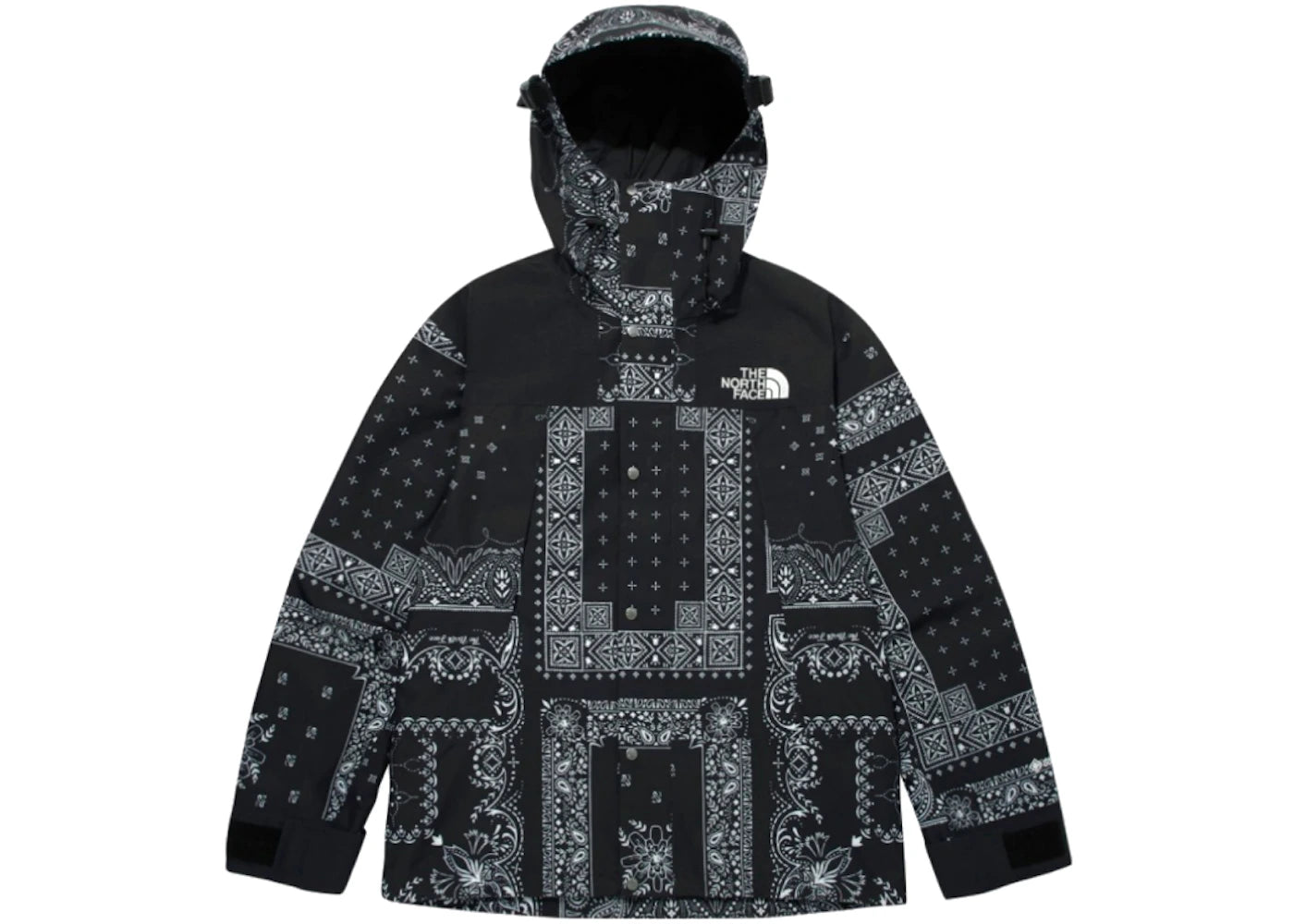 The North Face Novelty GTX Paisley Mountain Jacket Black -1