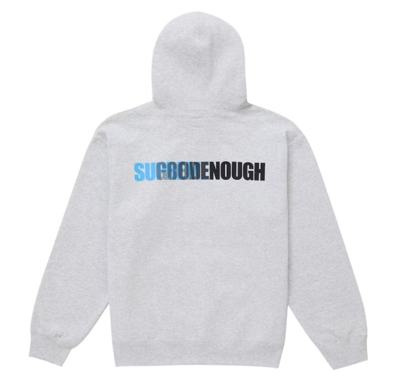 Supreme GOODENOUGH Hooded Sweatshirt Heather Grey Back