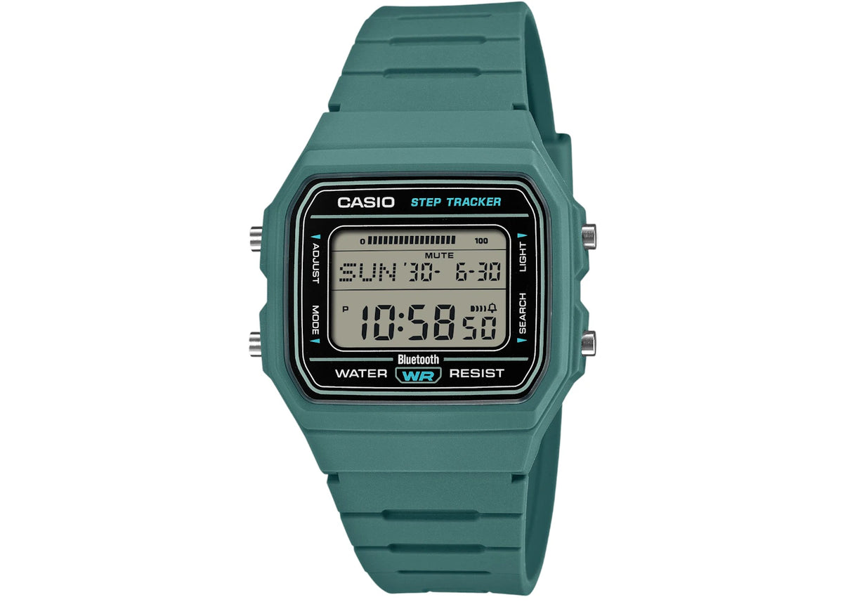 Casio Standard F-B100W-3A -1
