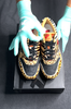 Video unboxing Nike Air Max 1 Atmos Animal Pack (2018)