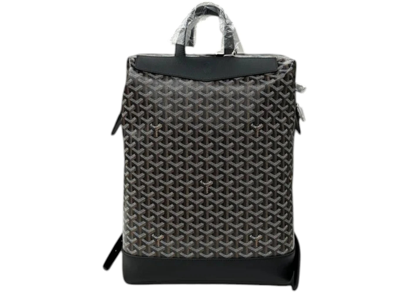 Goyard Cisalpin Backpack Black -1