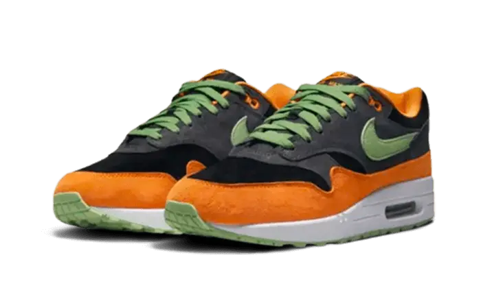 Air Max 1 PRM Duck Anthracite