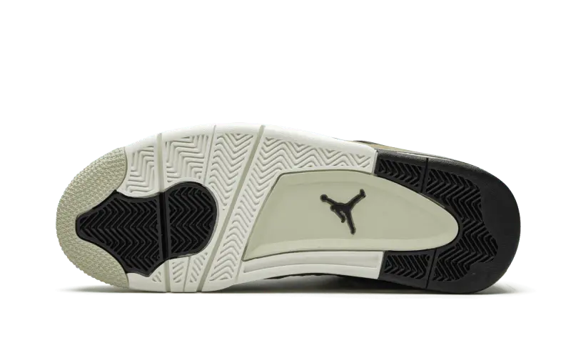 Jordan 2025 4 fossil