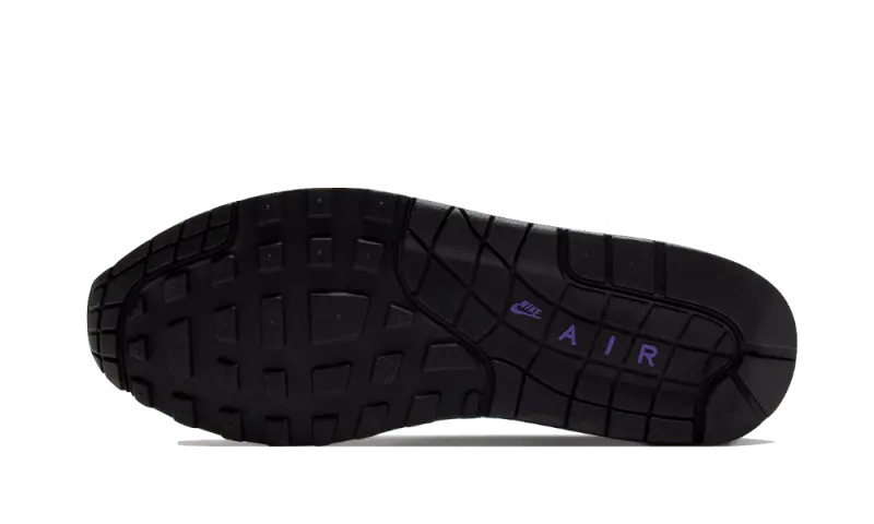 Nike Air Max 1 DNA CH.1 Purple Punch - AR3863-101 