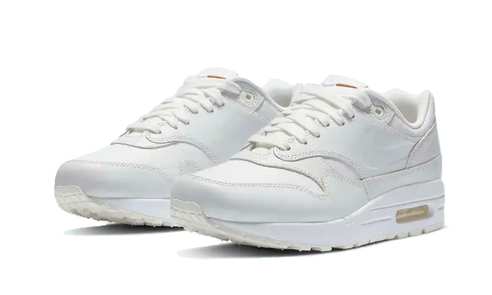 Nike Air Max 1 Tawny - DC9204-100