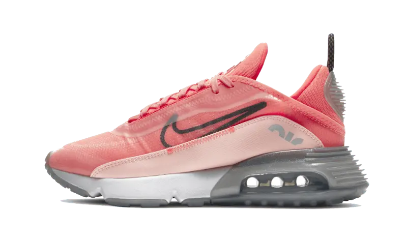 Nike air max 2090 women's shoe hot sale