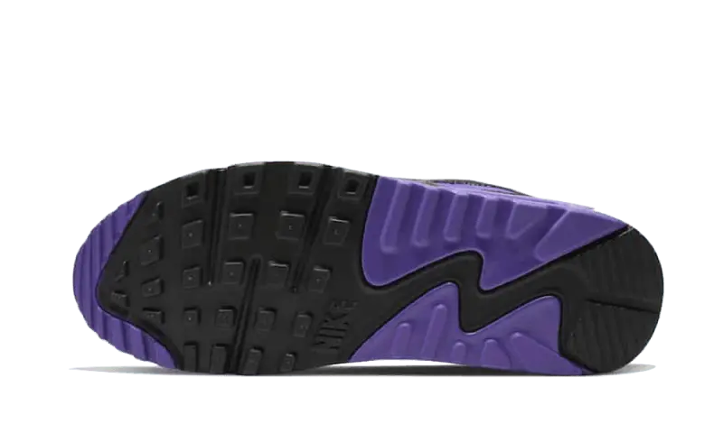 Nike Air max 90 Recraft Hyper Grape - CD0490-103