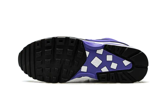 Air Max BW Persian Violet