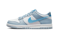 Nike Dunk Low Hologram