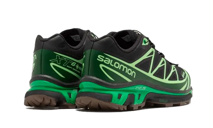 Salomon Advanced XT-6 Gore-Tex Eden Green Ash