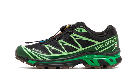 Salomon Advanced XT-6 Gore-Tex Eden Green Ash