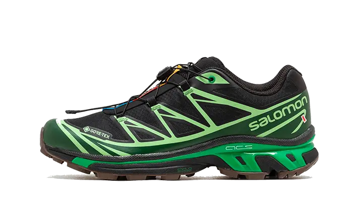 Salomon Advanced XT-6 Gore-Tex Eden Green Ash