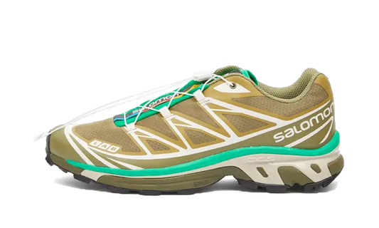 Salomon XT-6 Dried Herb