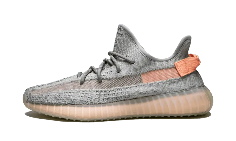 Adidas Yeezy Boost 350 V2 True Form